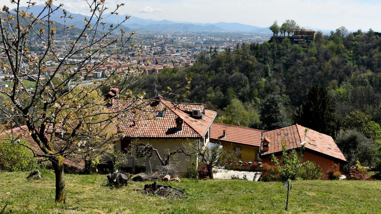 شقة Il Giardino Di Berbech Citta Alta-Ulivo بيرغامو المظهر الخارجي الصورة