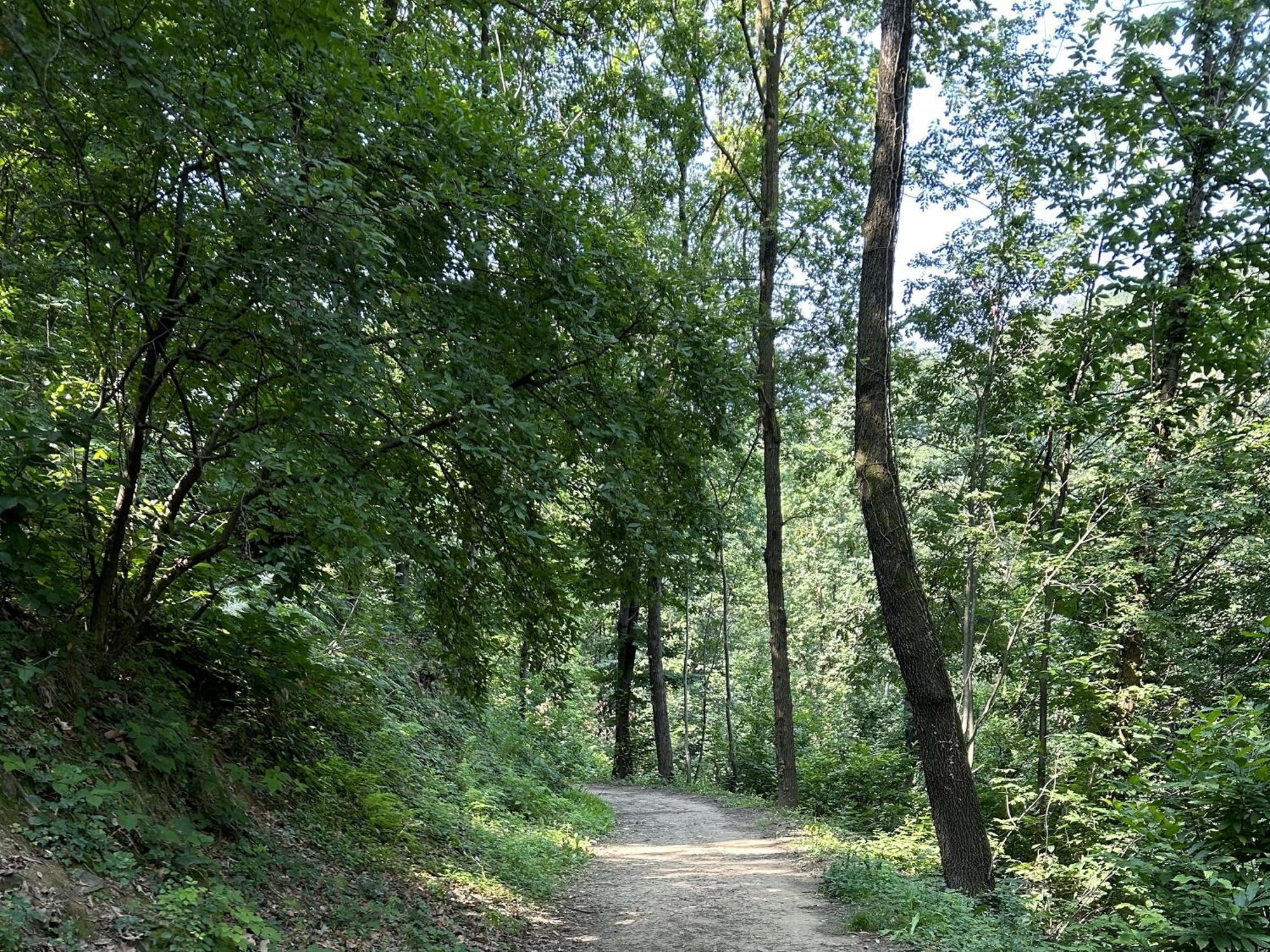شقة Il Giardino Di Berbech Citta Alta-Ulivo بيرغامو المظهر الخارجي الصورة